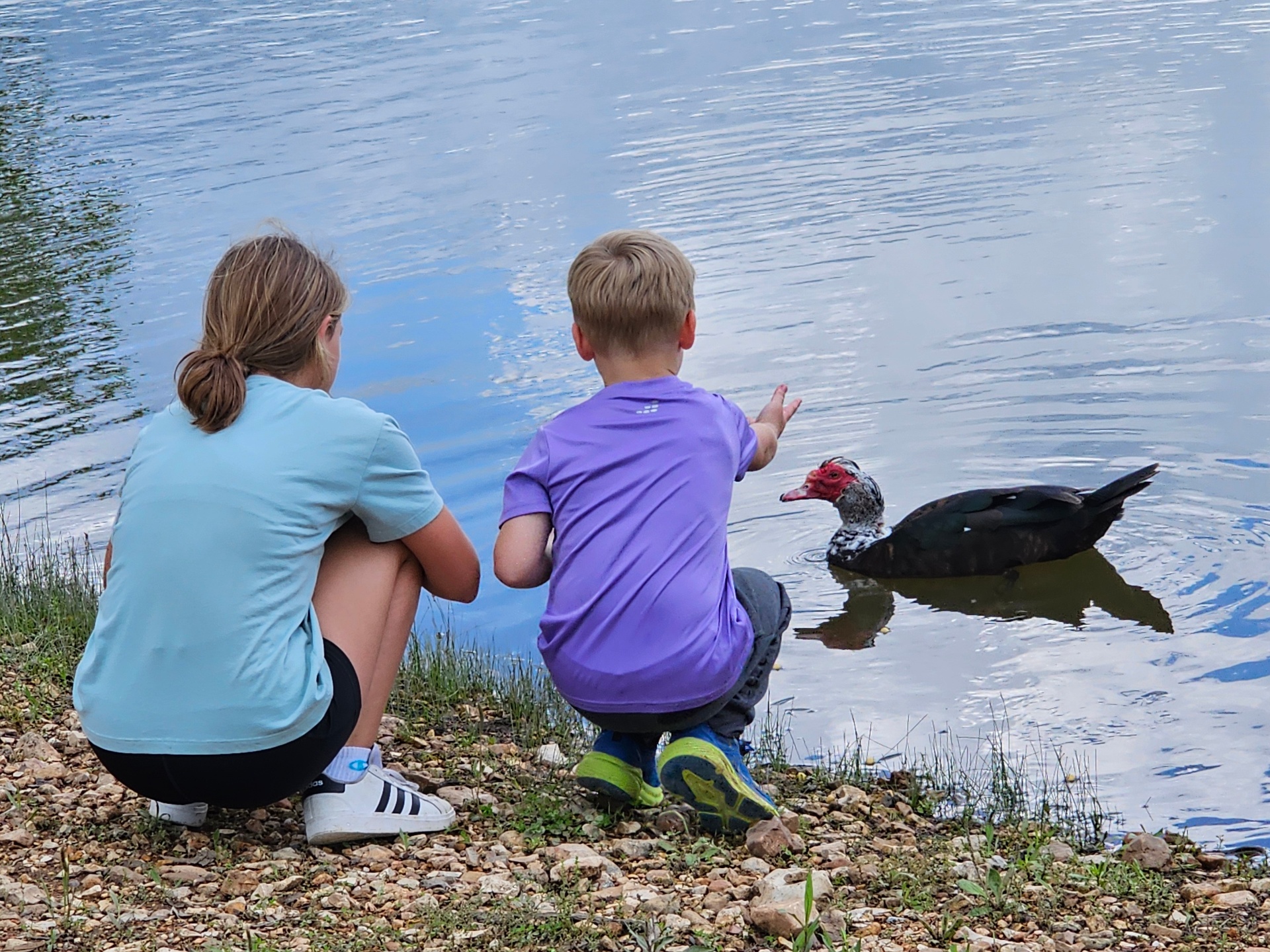 Kids meeting a duck at the lake's edge